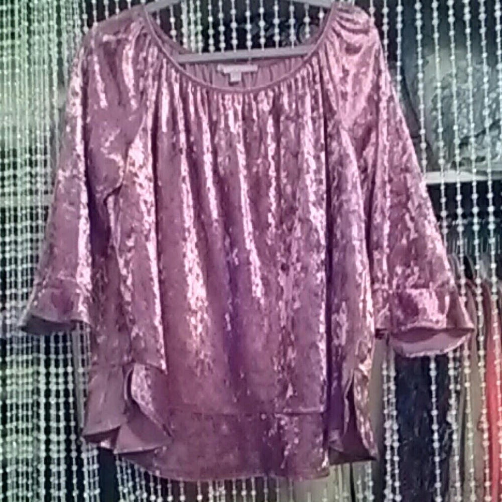 Beautiful Velvet Blouse